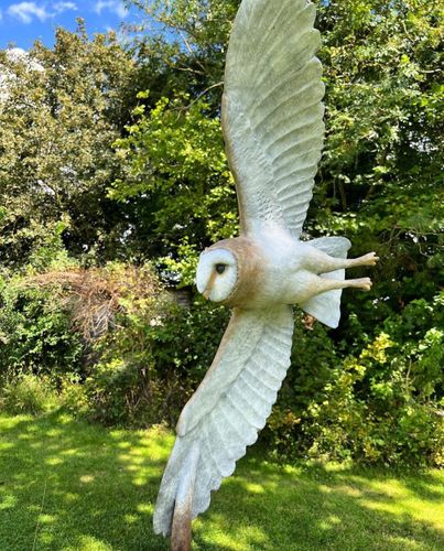 Barn Owl and Vole