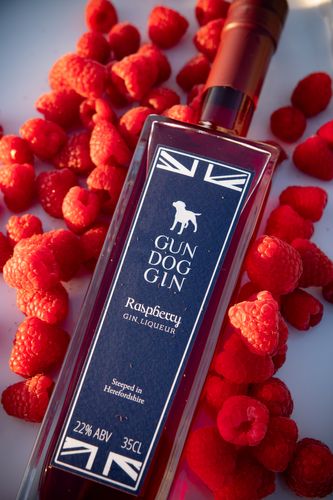 Gun Dog Gin Liqueur - Raspberry