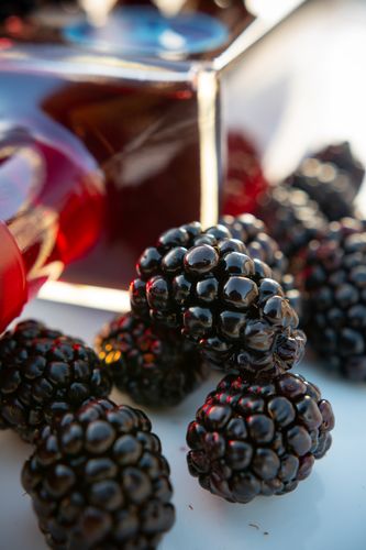 Gun Dog Gin Liqueur - Blackberry