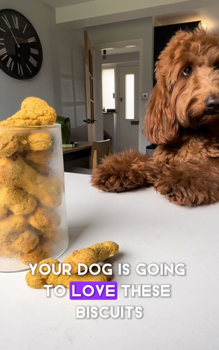 How to Make Organic Dog Treats at Home! (easily)