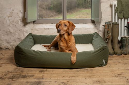 The NEW Burnham Bolster Dog Bed