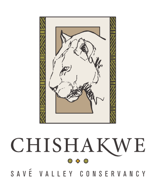 Chishakwe Safaris