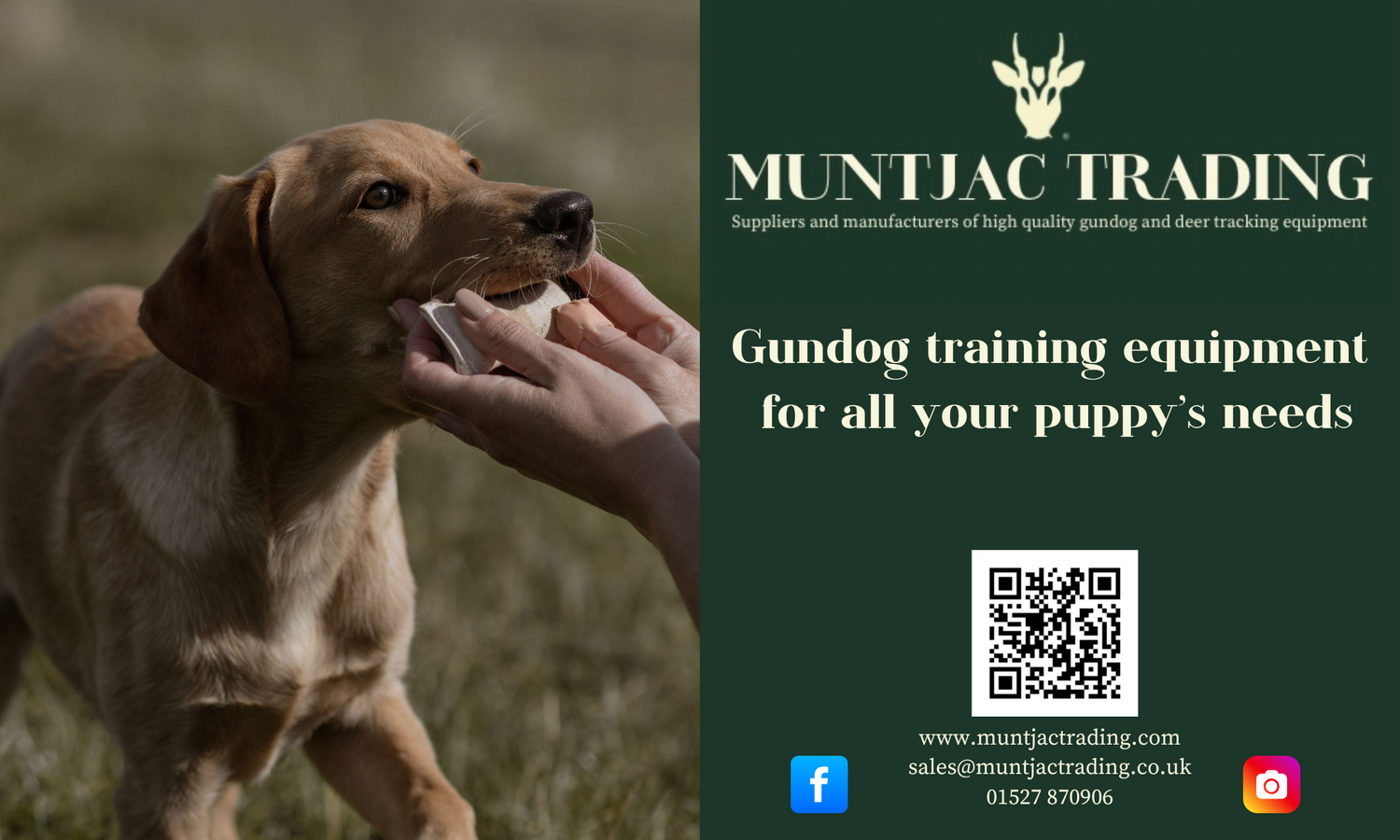 Muntjac Trading