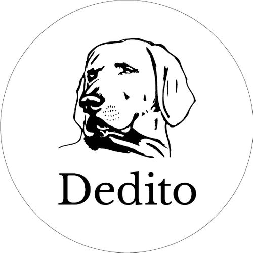 Dedito Boots