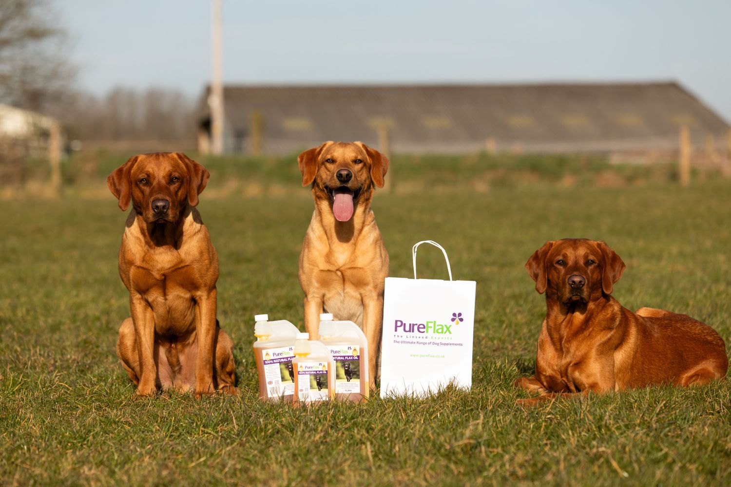 Pureflax