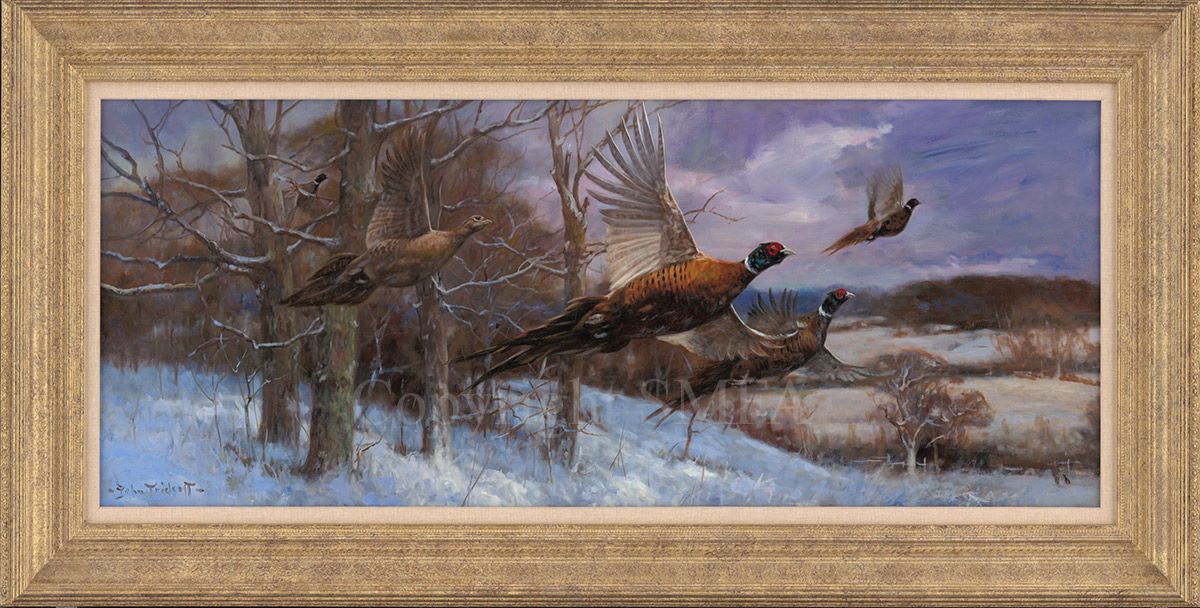 Sally Mitchell Fine Art Ltd