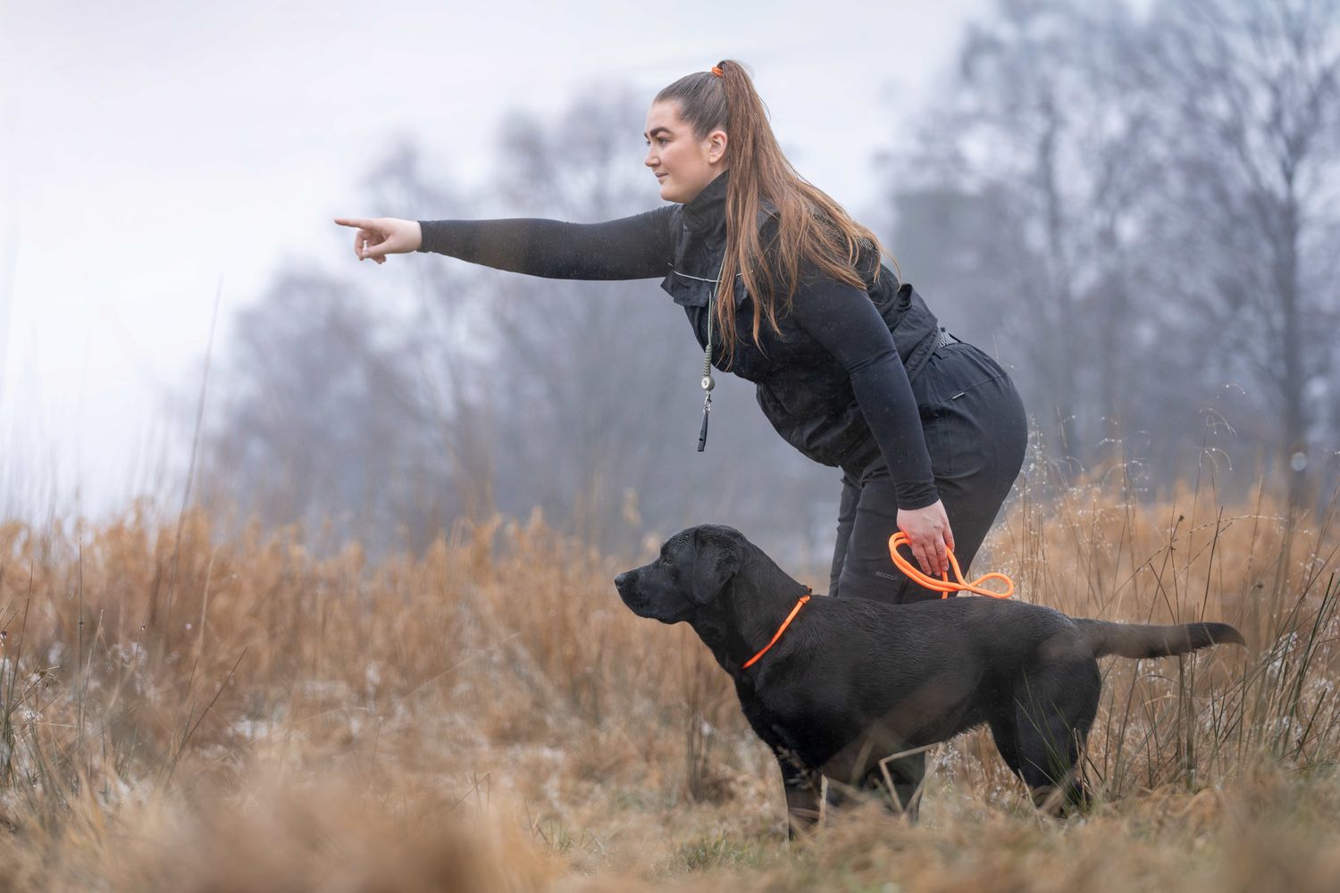 Non Stop Dogwear