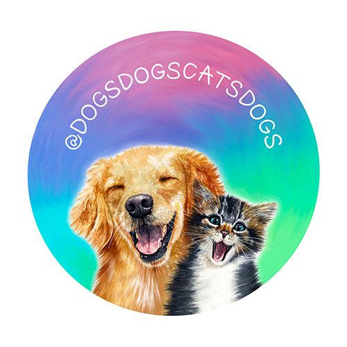 Dogsdogscatsdogs