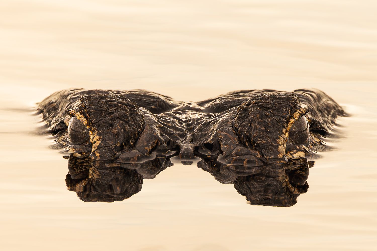 Nathan Martin Photography