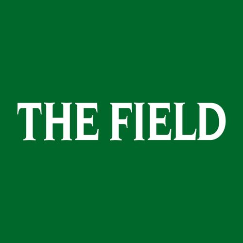 The Field 