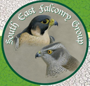 South East Falconry Group