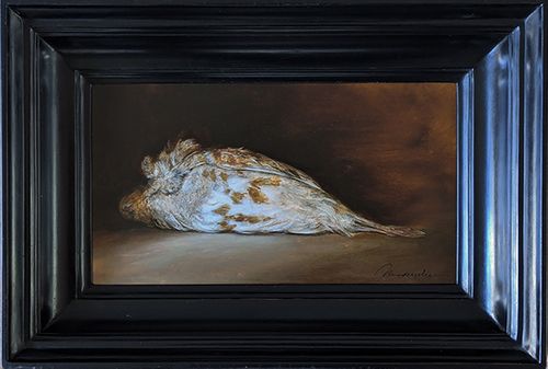 The Grey Partridge