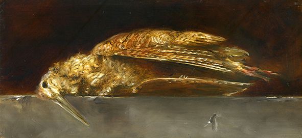 Woodcock