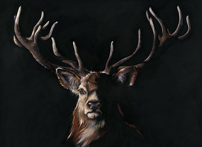 Artwork by Kay Johns