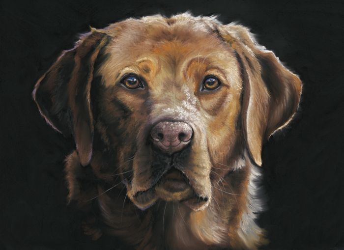 Artwork by Kay Johns