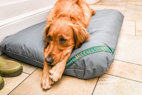 The Durasoft Tuffies Mattress
