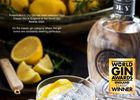 Rosemullion Distillery Dry Gin
