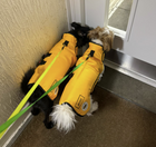 Marigold Doggy Armour - The Protective Dog Coat