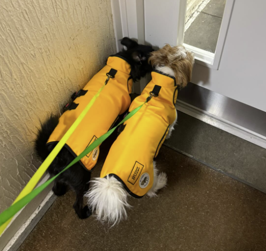 Marigold Doggy Armour - The Protective Dog Coat