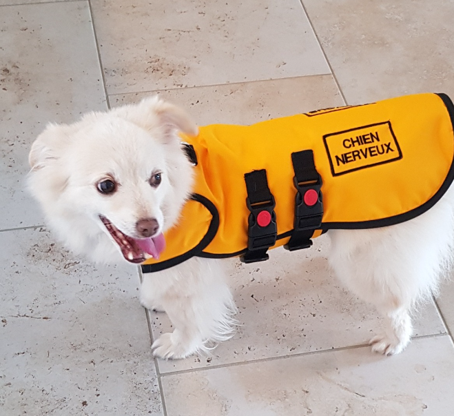 Marigold Doggy Armour - The Protective Dog Coat