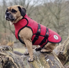 Red Doggy Armour - The Protective Dog Coat