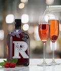 Raisthorpe Sloe Gin