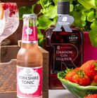 Raisthorpe Damson Gin