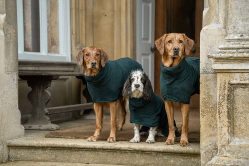 Classic Collection Dog Drying Coat