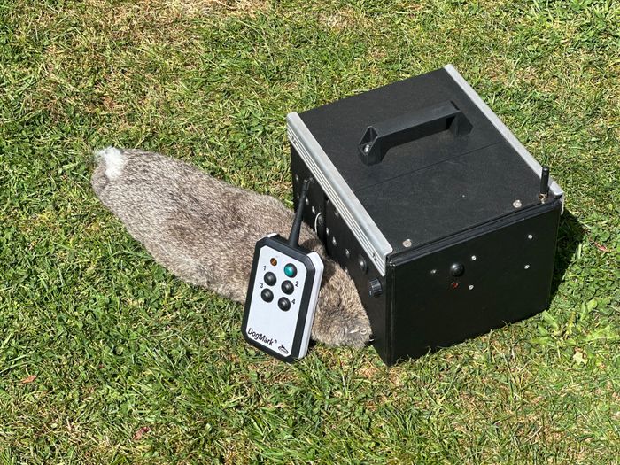 DogMArk Bolting Rabbit 