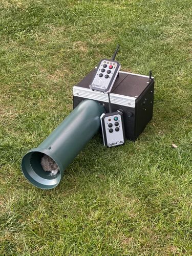 DogMArk Bolting Rabbit 