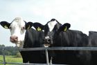 Farm Assurance