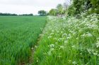 Stewardship & Grants