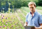 Carbon Auditing