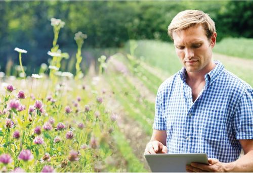Carbon Auditing