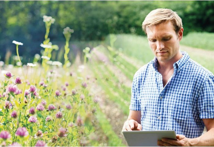Carbon Auditing