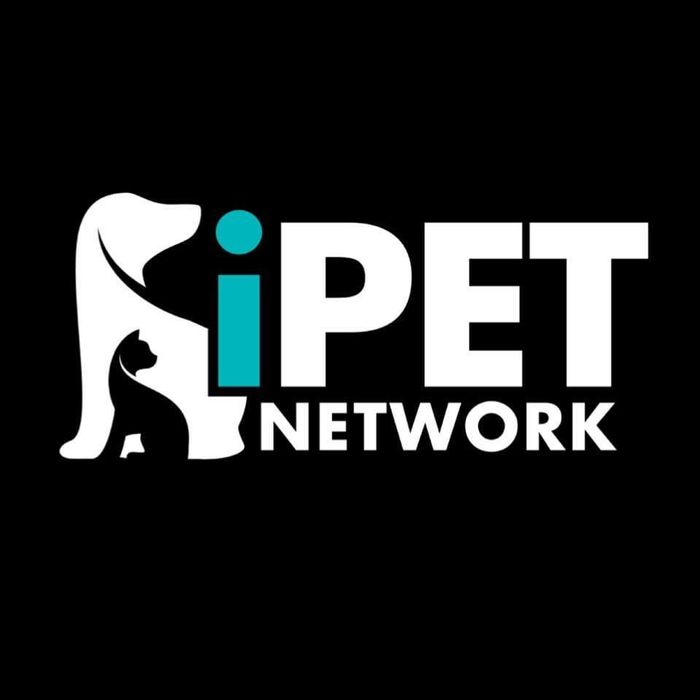 iPET Network Level 3 Diploma in Dog Grooming & Salon Management