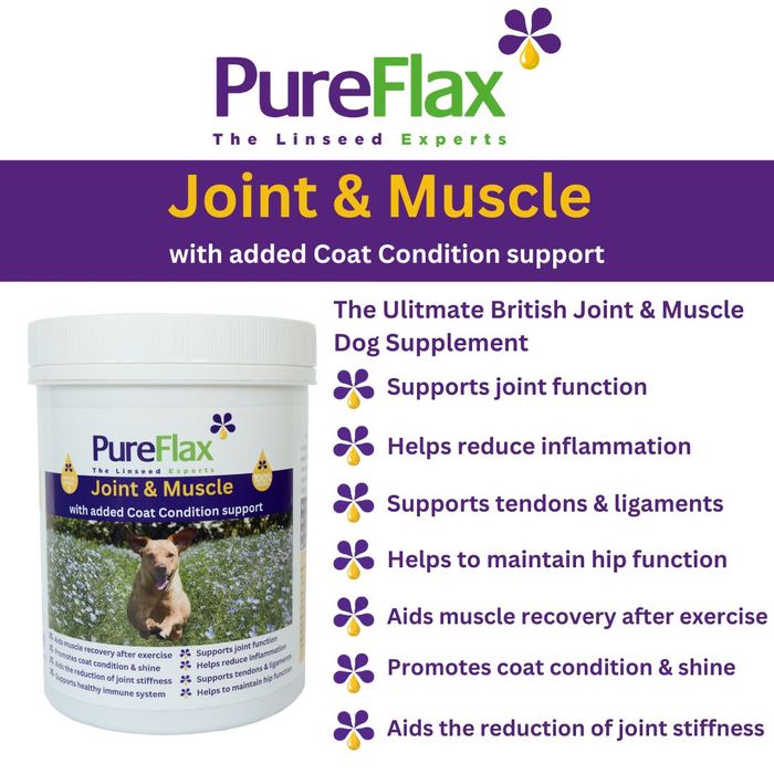  Joint & Muscle with added coat condition support for all Dogs