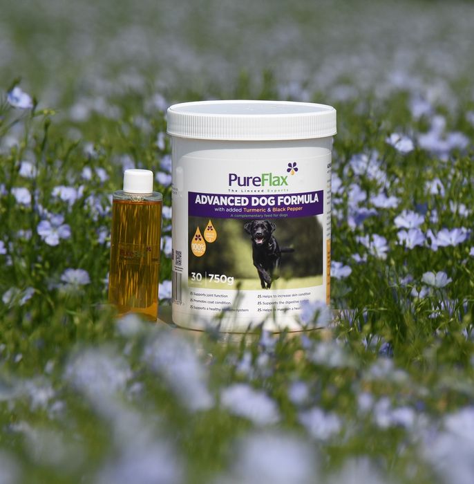 Advanced Dog Formula with Added  Turmeric & Black Pepper