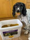 Advanced Dog Formula with Added  Turmeric & Black Pepper