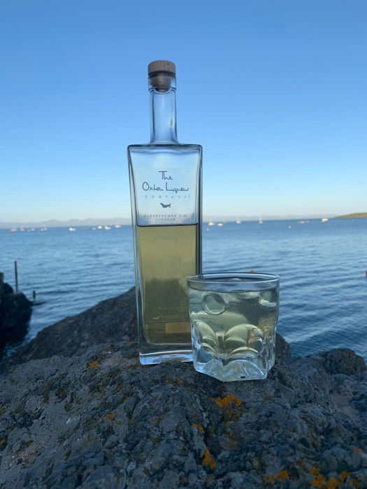 Elderflower Gin - voted 'Best Elderflower Gin 2024'