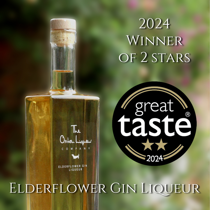 Elderflower Gin - voted 'Best Elderflower Gin 2024'