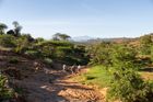 Rocky Hollow