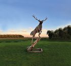 JAMES DORAN WEBB | Highland Monarch
