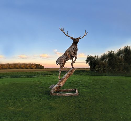JAMES DORAN WEBB | Highland Monarch