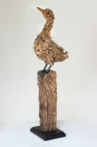 JAMES DORAN-WEBB | Melody Duck