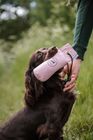 Gundog Supplies
