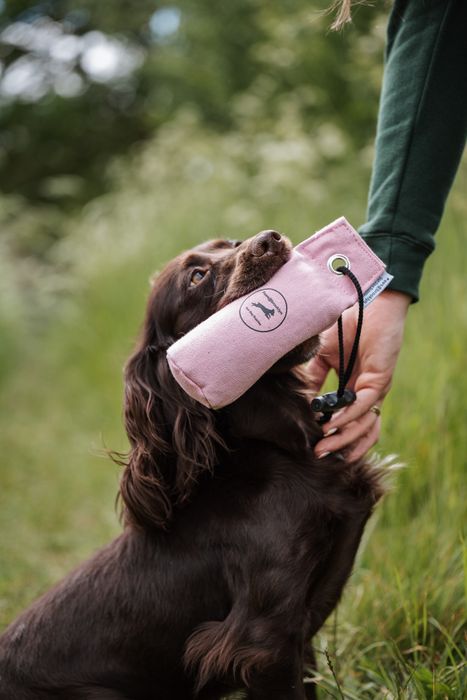 Gundog Supplies