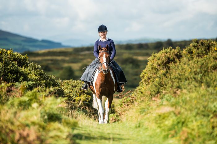 The Moorland 