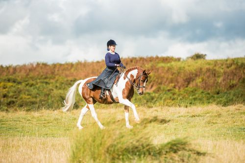 The Moorland 