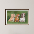 Steady Focus Original GunDog Artwork